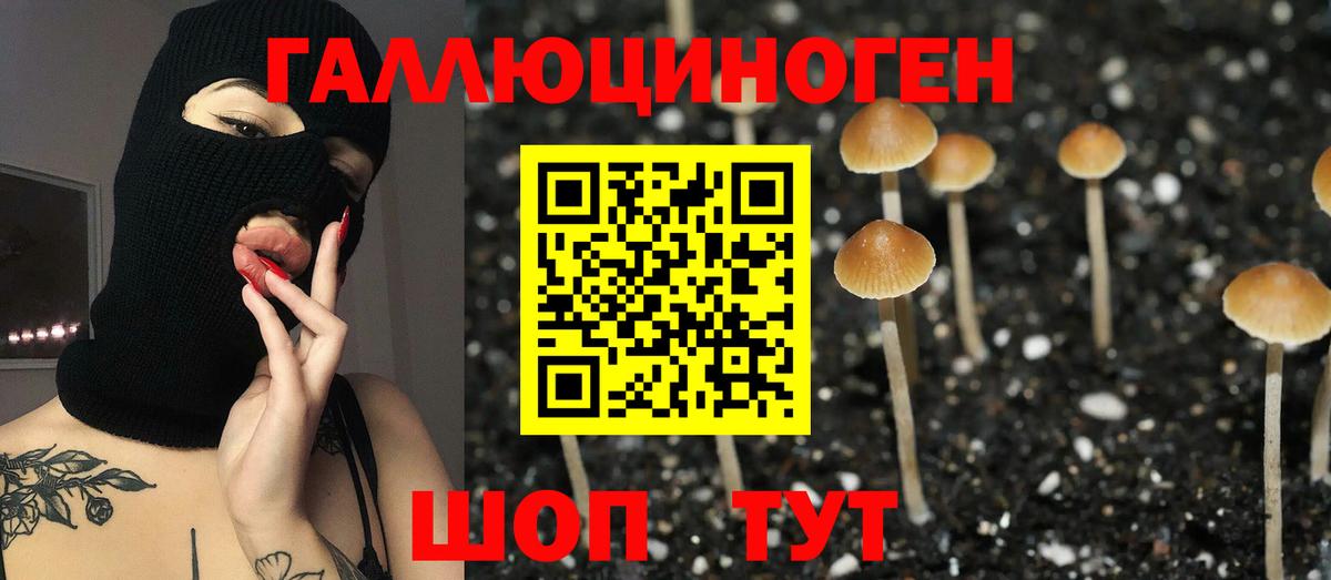 Галлюциногенные грибы Cubensis  Вход с VPN  Северобайкальск 