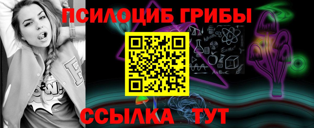 Галлюциногенные грибы ЛСД Северобайкальск